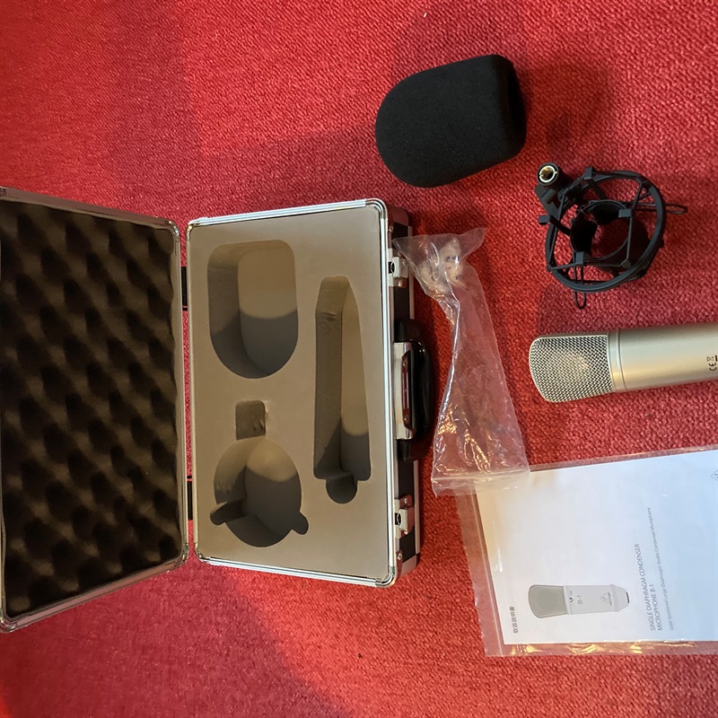 BEHRINGER B-1の画像